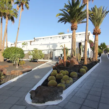 Orly Club Arena Dorada *